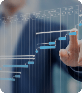 Imagem contendo detalhes sobre a plataforma